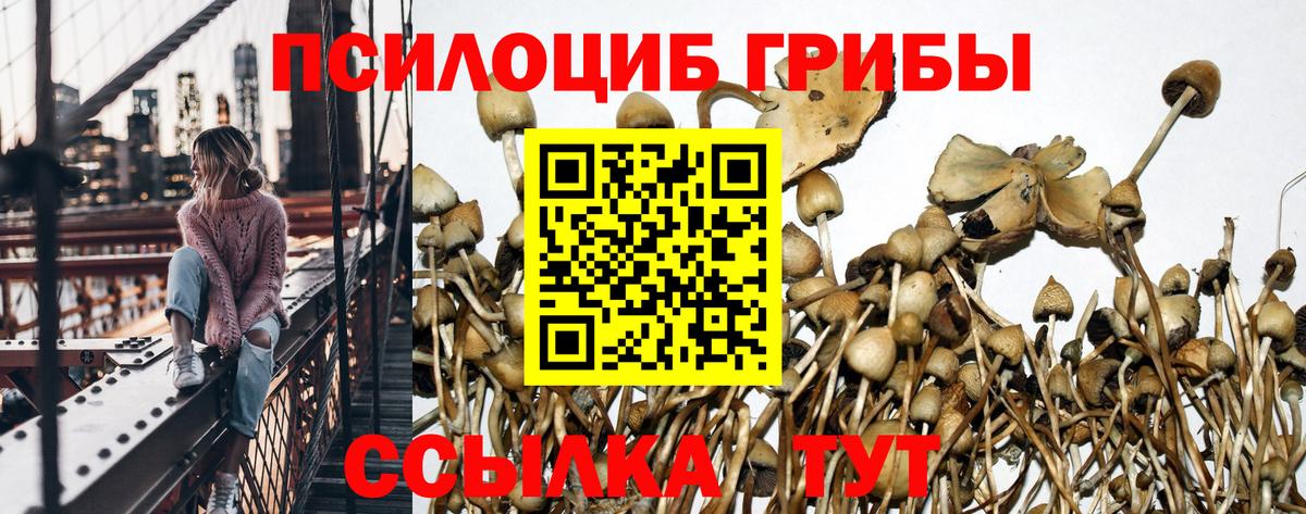 Псилоцибиновые грибы MAGIC MUSHROOMS  Вход с VPN  Саяногорск 